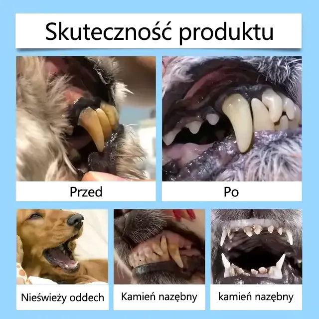 🥇[Oficjalny sklep] CleraNaure® Płyn do pielęgnacji jamy ustnej dla zdrowia zębów i trawienia zwierząt – Odświeża oddech, usuwa kamień nazębny, wspomaga regenerację dziąseł i stabilizuje zęby (dla kotów i psów) – Oszczędź 80% już dziś!