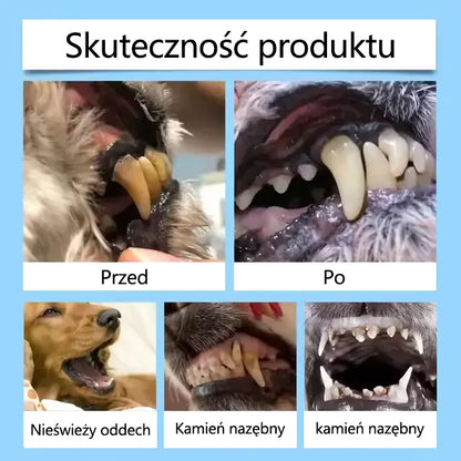 🥇[Oficjalny sklep] CleraNaure® Płyn do pielęgnacji jamy ustnej dla zdrowia zębów i trawienia zwierząt – Odświeża oddech, usuwa kamień nazębny, wspomaga regenerację dziąseł i stabilizuje zęby (dla kotów i psów) – Oszczędź 80% już dziś!